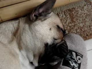 je fais une petite sieste