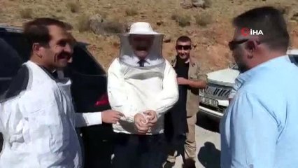 Bal sezonu için düzenlenen programda arı saldırısı