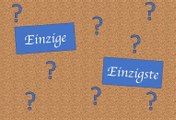 Rechtschreibung: einzige oder einzigste