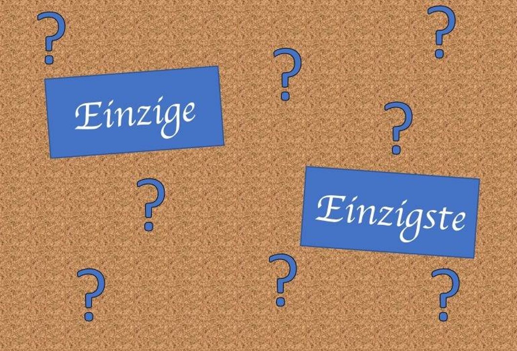 Rechtschreibung: einzige oder einzigste