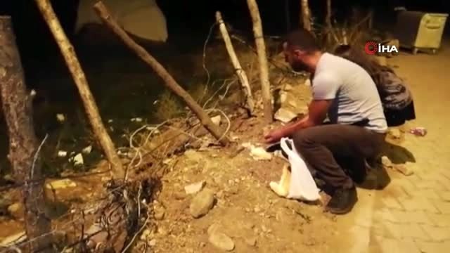 Tilkiyle dost oldu, her gün eliyle besliyor