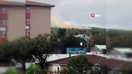 Pendik'te orman yangını çıkardığı gerekçesiyle bir kişi gözaltına alındı.