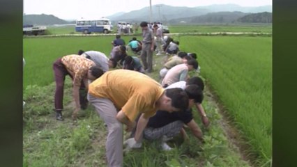 화성 연쇄살인·개구리 소년 실종...미제사건 풀릴까 / YTN