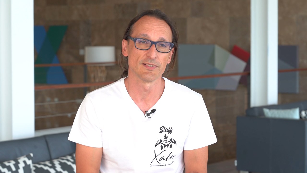 Gran parte de la tortugas del Parador de Saler serán devueltas al mar