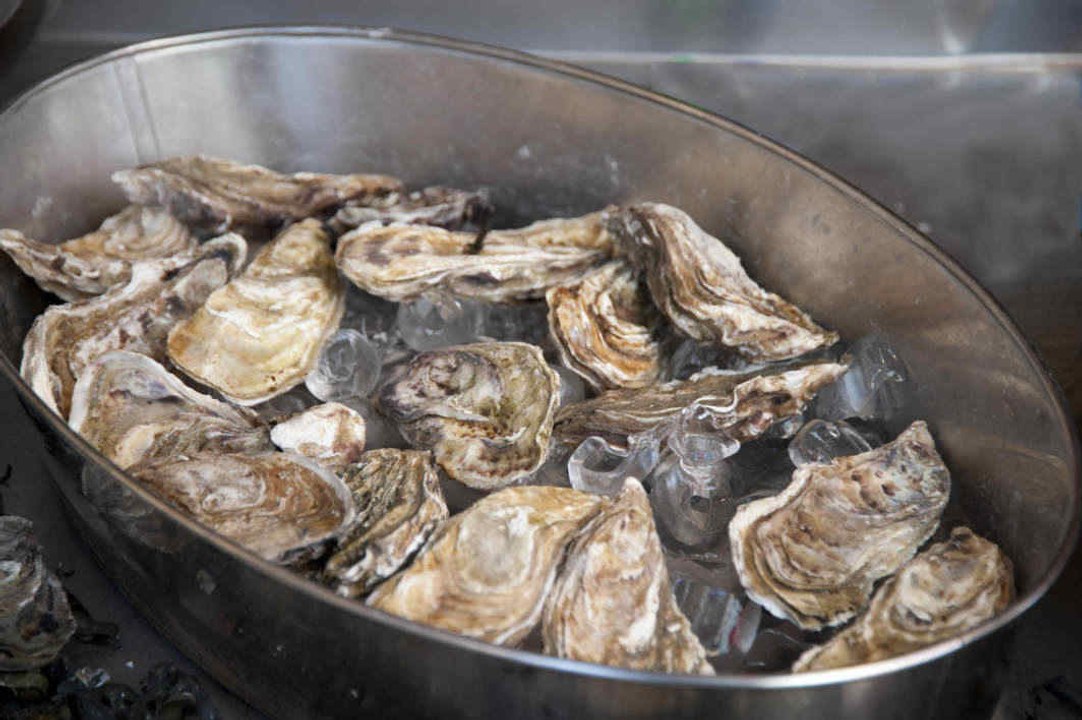 Alles über Austern