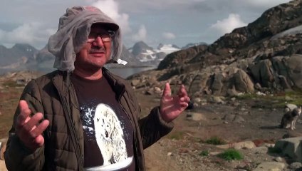 Klimawandel: Keine Zukunft für Grönlands Schlittenhunde?