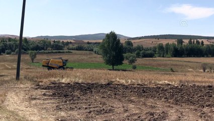 Artova'nın yeni gelir kaynağı nohut - TOKAT