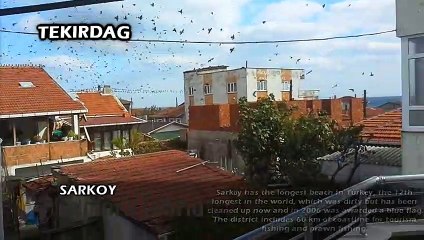 Sarkoy Tekirdağ 2