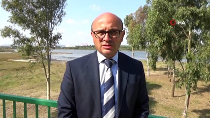 Flamingolar kışı geçirmek için Hersek'e geldi