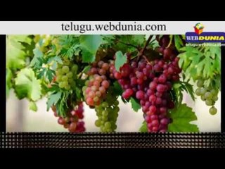 Grapes Health Benefits
