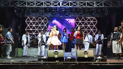 ALL ARTIS - GOYANG NASI PADANG (DIAN ANIC)