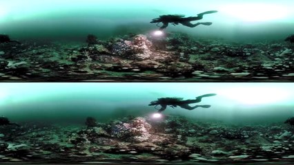 Dive with a Giant Pacific Octopus and Wolf Eel in 3D 360 - Our Blue Planet  VR - BBC Earth