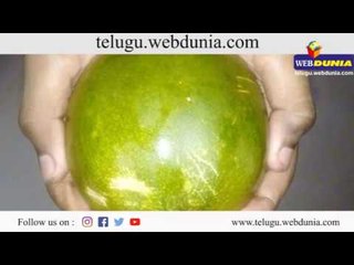 Cucumber health benefits