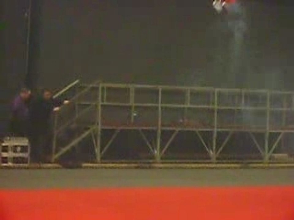 Salon du modelisme de Grande-Synthe - T-rex 600 N