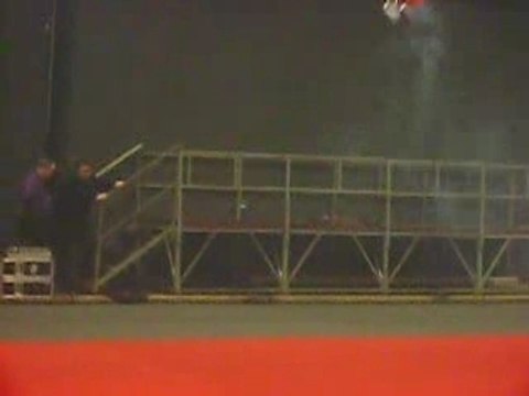 Salon du modelisme de Grande-Synthe - T-rex 600 N