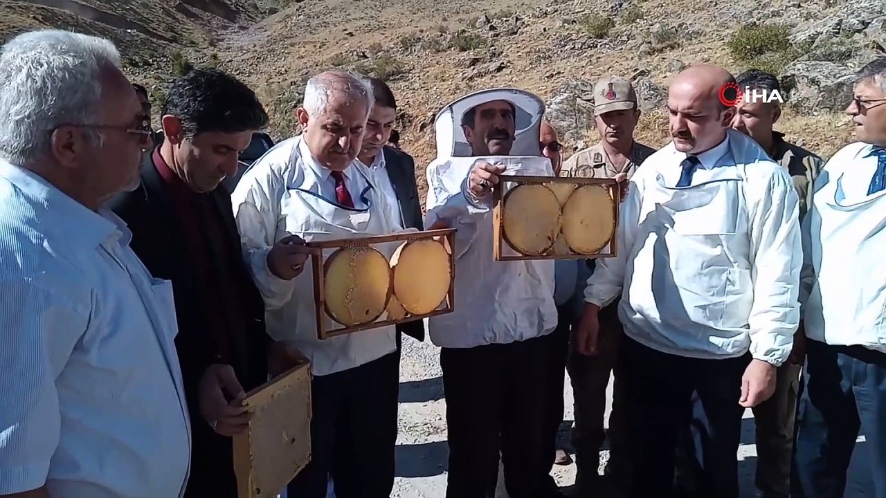 Van’da verimli bal hasadı başladı