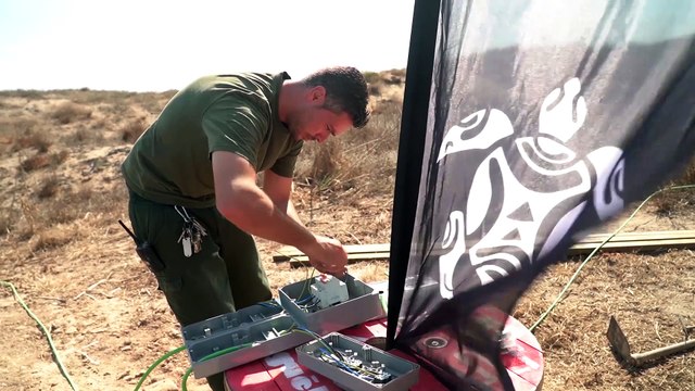 Nacen las 50 tortugas boba custodiadas de El Saler