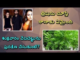 Today Headlines - Pawan Kalyan fire on Chandrababu Naidu