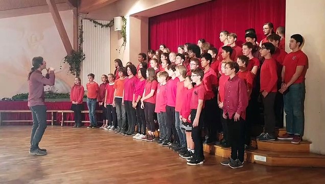 Centenaire de la pédagogie Steiner à l'école Michaël à Strasbourg-Koenigshoffen