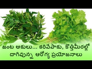 Health Benefits of Curry Leaves and Coriander leaves