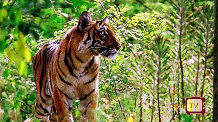 தமிழ்நாட்டில் நீங்கள் காணவேண்டிய சிறந்த சுற்றுலா தளங்கள்..!