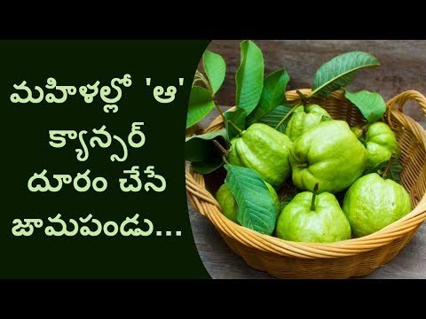 Guava fruit nutrition facts and health benefits