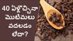 Amaging health benefits with cloves || Home Remedies for Pimples