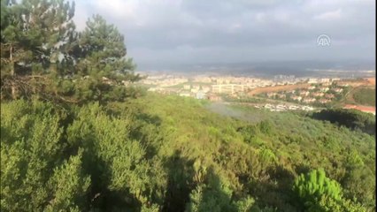 Pendik'deki orman yangınına ilişkin gözaltı - Şüpheli şahıs ormanı yakarken görüntülendi - İSTANBUL