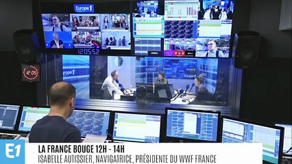 Hausse du budget du ministère de la Transition écologique : "Ce n'est évidemment pas suffisant", juge la présidente de WWF France