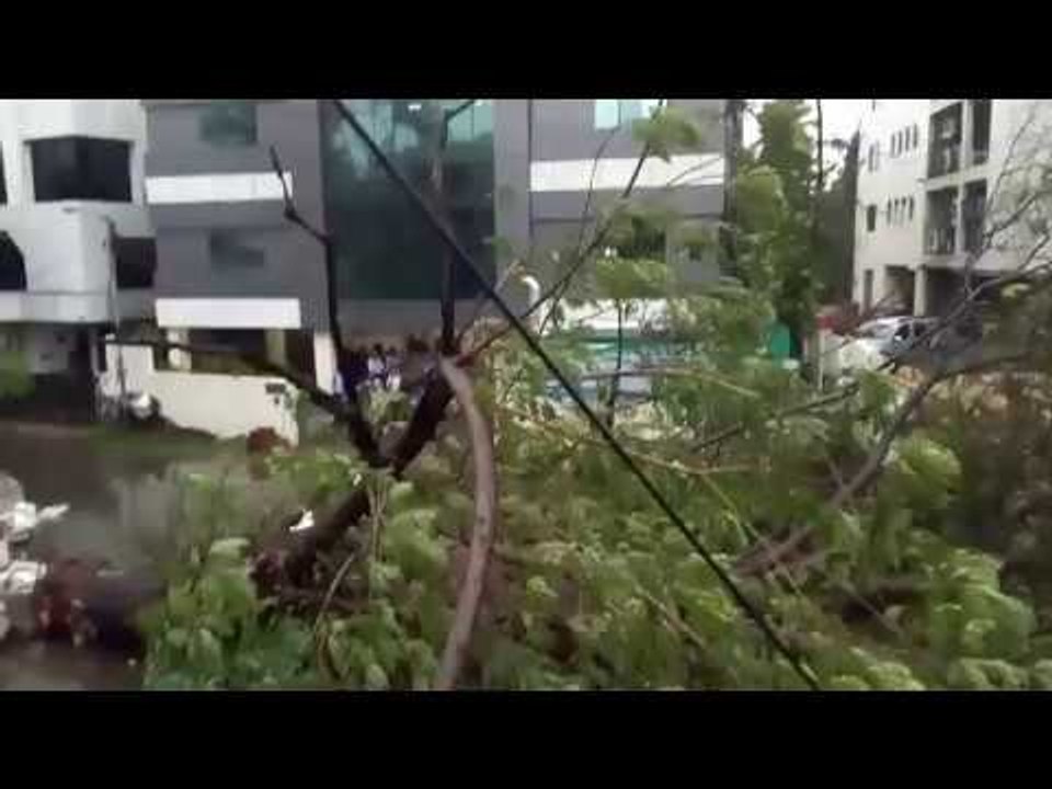 vardha cyclone in chennai