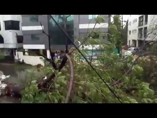 vardha cyclone in chennai