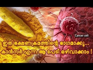 ഇത് ഭക്ഷണക്രമത്തിന്റെ ഭാഗമാക്കൂ... കാന്‍സര്‍ എന്ന ആ പേടി ഒഴിവാക്കാം !