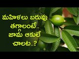 Guava leaves health benefits