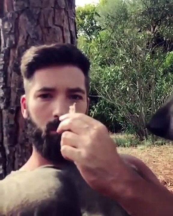 Regardez ce que cet homme a osé faire avec ce chien-loup... La fin vous laissera bouche bée