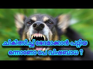 ചികിത്സിച്ച് ഭേദമാക്കാന്‍ പറ്റിയ ഒന്നാണോ പേവിഷബാധ ?