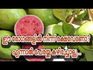 ഈ രോഗങ്ങളില്‍ നിന്ന് രക്ഷവേണോ? എന്നാല്‍ പേരക്ക കഴിച്ചോളൂ...