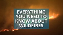 Wildfire - Everything you need to know about wildfires
