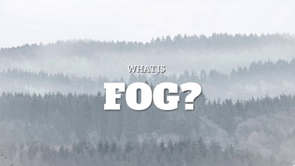 Fog - What Is Fog?