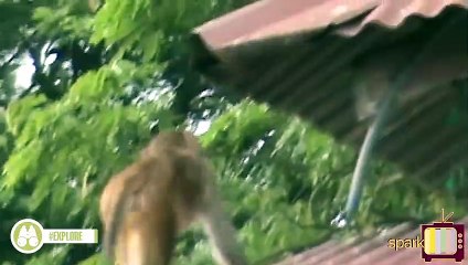 அசாம் மாநிலத்தில் உள்ள பழமையான காமாக்யா கோவில்..!