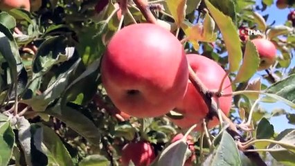Meslek Lisesi öğrencileri, önce üretiyor sonra satıyor
