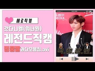 [세로직캠] 워너원 강다니엘 '전설 아닌 레전드 멍뭉 직캠 모음집.avi'