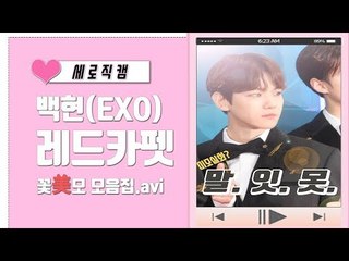 [세로직캠] 엑소(EXO) 백현, '레드카펫 꽃미모 모음집 대방출'(2018 KBS 가요대축제)