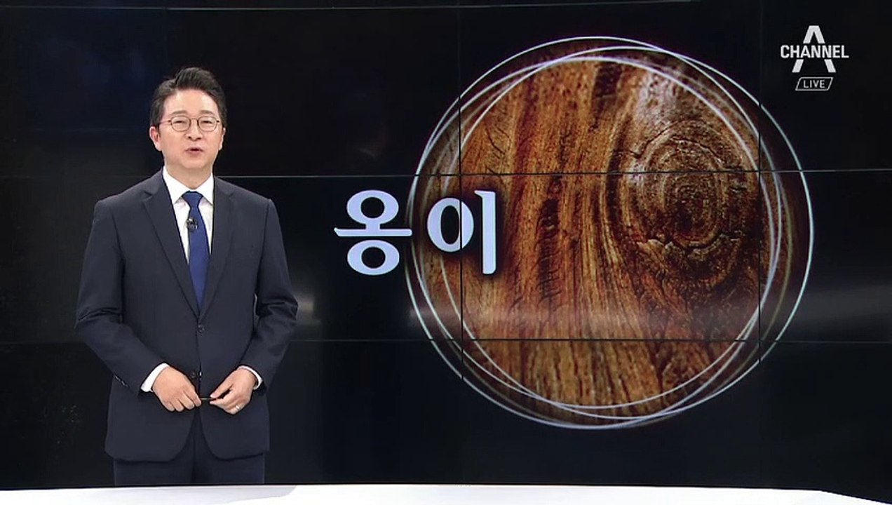 [9월 20일 클로징멘트]‘옹이’