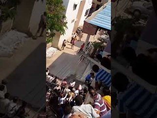 പുലി നാട്ടിലിറങ്ങി, നാടിളകി; പുലിയെന്തുചെയ്തു?