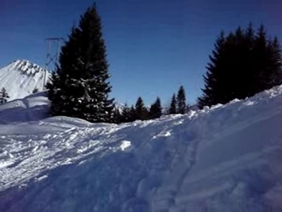 MOV00828