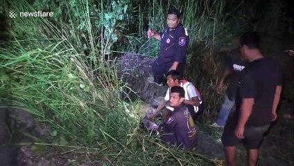 Calf rescued after tree blew over and pinned him to the ground in Thailand