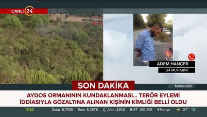 Aydos ormanının kundaklanması