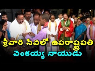 VICE PRESIDENT VENKAIAH NAIDU TIRUMALA DARSHAN