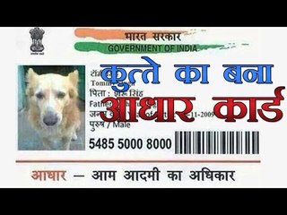 अब कुत्ते का भी आधार कार्ड बना | Aadhar Card Of Dog