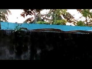 മതിലിന് മുകളില്‍ ഒരു പാമ്പിന്‍റെ അഭ്യാസം!